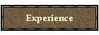 Experience