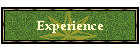 Experience